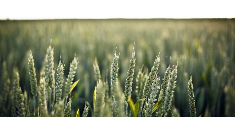 B2B电子商务平台如何通过数字化转型与SEO优化实现网络营销增长