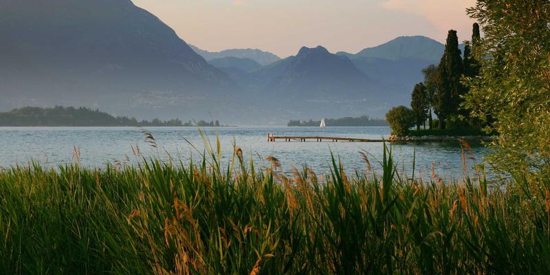 E拥有数字营销新引擎：人工智能与机器学习如何重塑个性化商品推荐