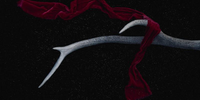 数字营销新引擎：从美妆到食品的订阅制电商模式设计，打造持续增长的周期性收入