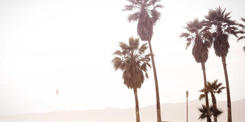 数字营销新引擎：电子商务平台供应链金融如何赋能中小卖家品牌推广