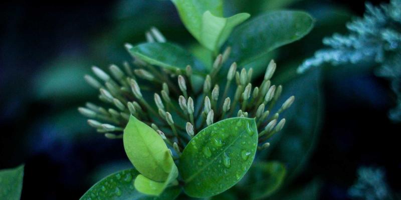 电商大促制胜关键：服务器弹性伸缩与高并发架构设计实践，赋能品牌推广与SEO优化