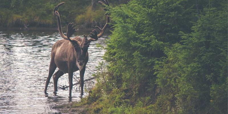 电商策略全解析：如何制定高效的网络营销方案以提升转化率