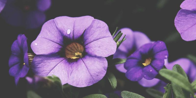 电商策略新核心：内容营销如何驱动E拥有网站的自然流量增长