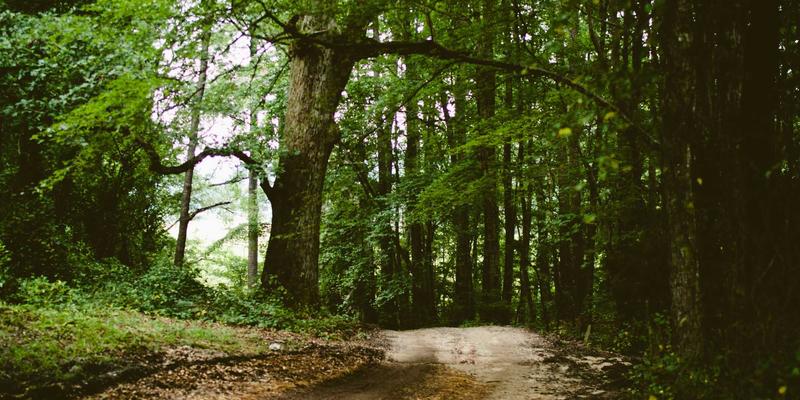 电商策略新蓝海：通过可访问性设计打造无障碍购物体验，实现SEO优化与品牌E拥有