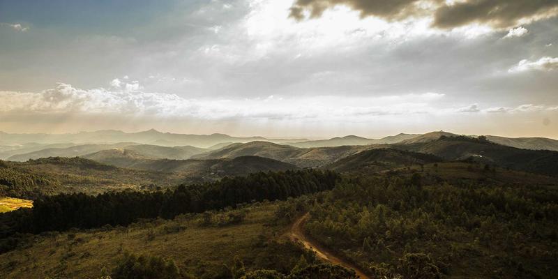 电子商务74：数字营销与网络营销如何重塑现代商业格局