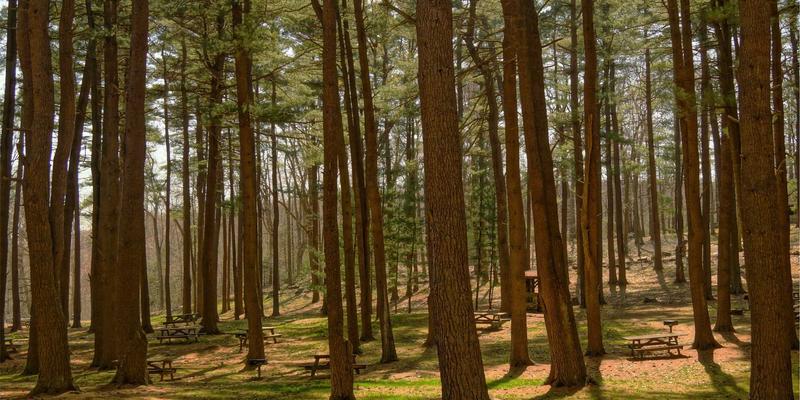 电子商务SEO优化新策略：如何利用聊天机器人与自动化消息提升客户服务效率