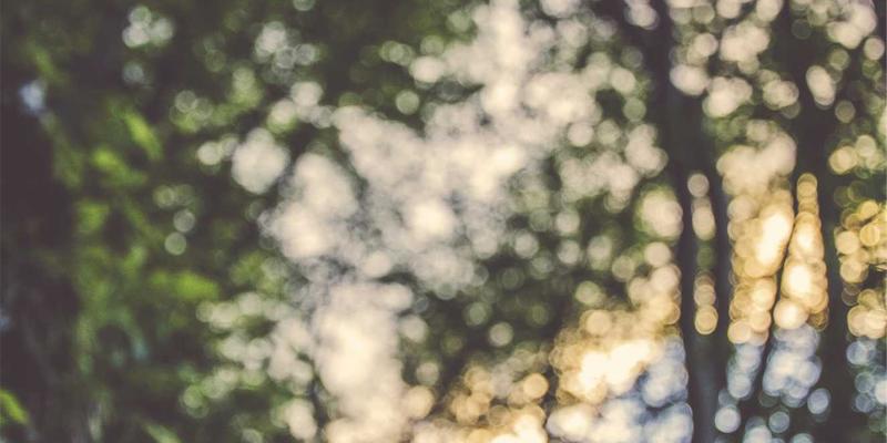 电子商务SEO优化：驱动可持续增长的网络营销核心策略