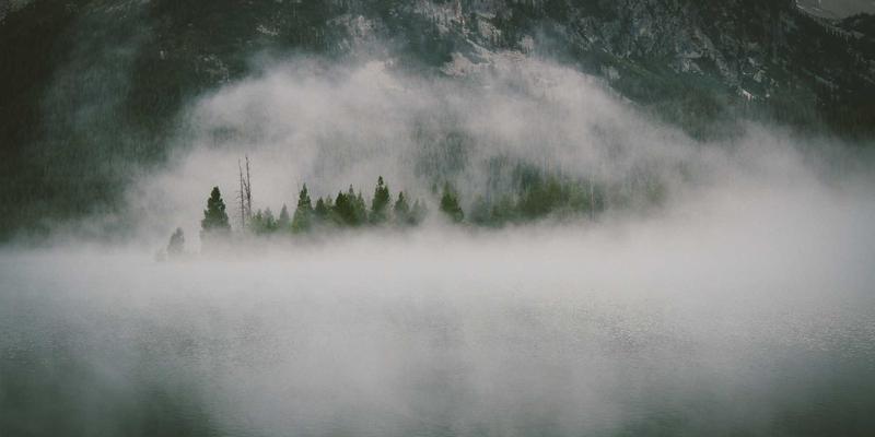 电子商务中的循环经济：二手与租赁市场的平台运营策略