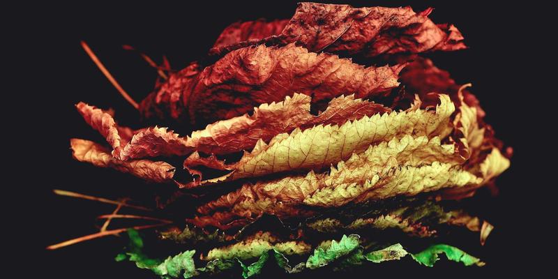 电子商务合规管理指南：GDPR、消费者权益与广告法规的实战应对