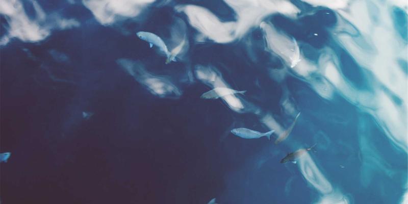 绿色电商与可持续供应链的实践路径：如何通过SEO优化与网络营销构建E拥有未来